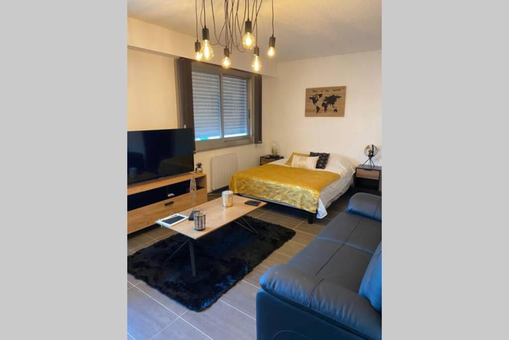 Le 12 Du Temple - Plein Coeur Centre Ville, Residence Privee, 5Mn Gare Sncf, Wifi Et Netflix Niort Exteriér fotografie